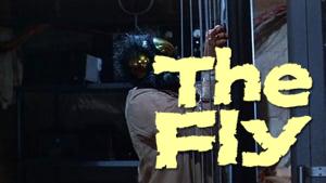 The Fly
