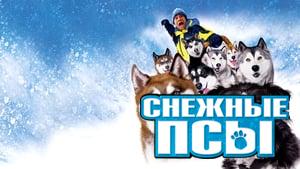 Snow Dogs