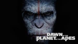 Dawn of the Planet of the Apes