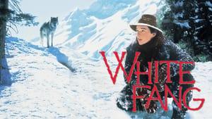 White Fang