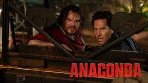 Anaconda