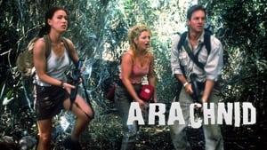 Arachnid