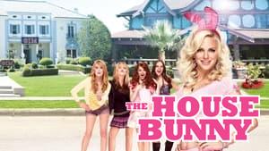 The House Bunny