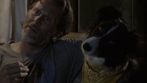 A Dog Named Duke