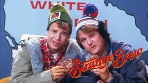 Strange Brew