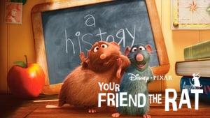Your Friend the Rat