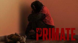 Primate