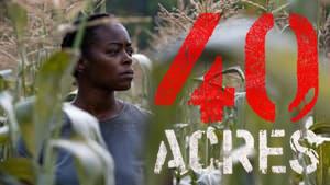 40 Acres