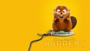 Hoppers