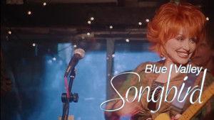 Blue Valley Songbird