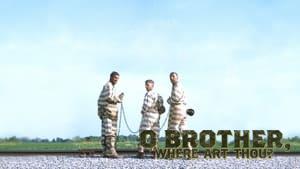 O Brother, Where Art Thou?