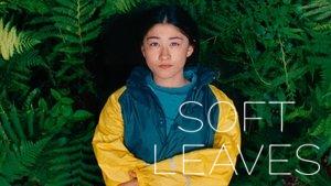 Soft Leaves