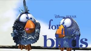 For the Birds