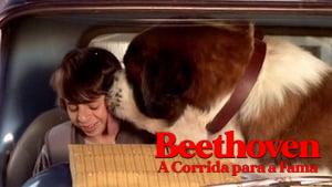 Beethoven's Big Break