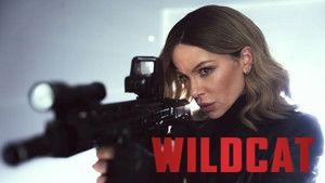 Wildcat