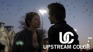 Upstream Color