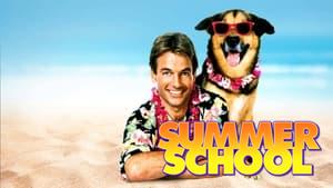 Summer School