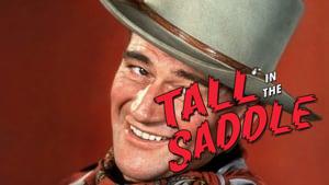 Tall in the Saddle