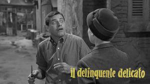 The Delicate Delinquent