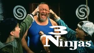 3 Ninjas