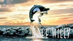 Free Willy