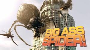 Big Ass Spider!