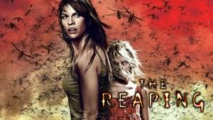 The Reaping