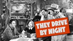 They Drive by Night