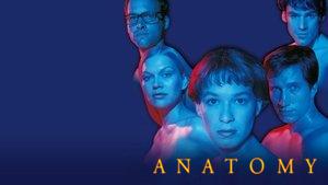 Anatomy