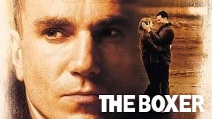 The Boxer