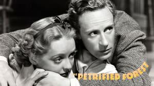 The Petrified Forest