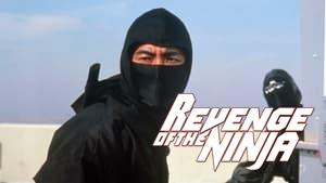 Revenge of the Ninja