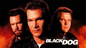 Black Dog