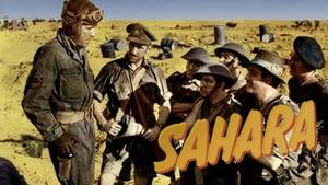 Sahara