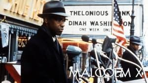 Malcolm X
