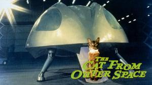 The Cat from Outer Space