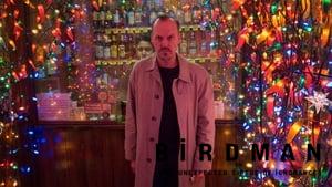 Birdman or (The Unexpected Virtue of Ignorance)