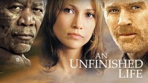An Unfinished Life