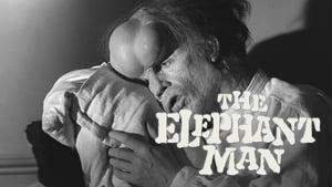 The Elephant Man