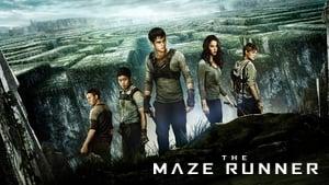 The Maze Runner