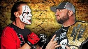 TNA Slammiversary XI