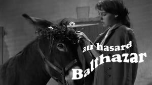 Au Hasard Balthazar