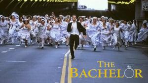 The Bachelor