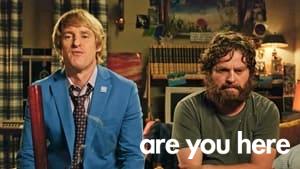 Are You Here