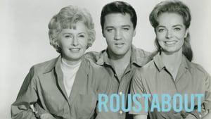 Roustabout