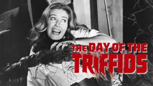 The Day of the Triffids