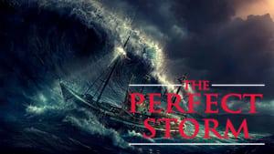The Perfect Storm