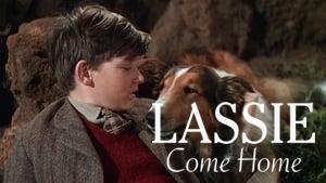 Lassie Come Home