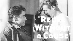 Rebel Without a Cause