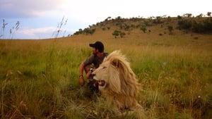 African Safari
